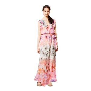 Anthropologie HD in Paris Easel Flora Maxi Dress
